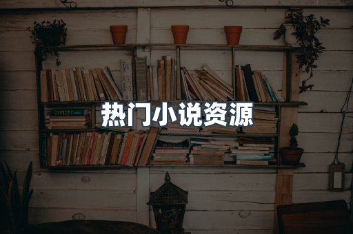 海外电子书